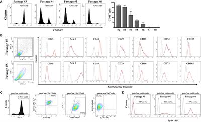 Identification of a Hematopoietic Cell Population Emerging From Mouse Bone Marrow With Proliferative Potential In Vitro and Immunomodulatory Capacity